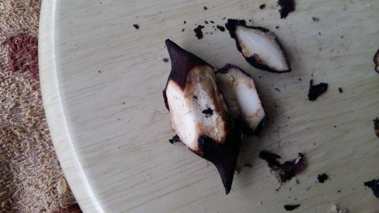 菱角炖排骨步骤3