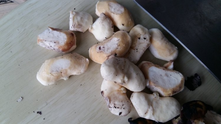 菱角炖排骨步骤5