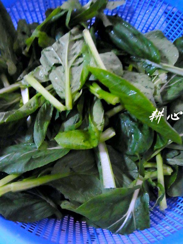菜心排骨汤步骤2