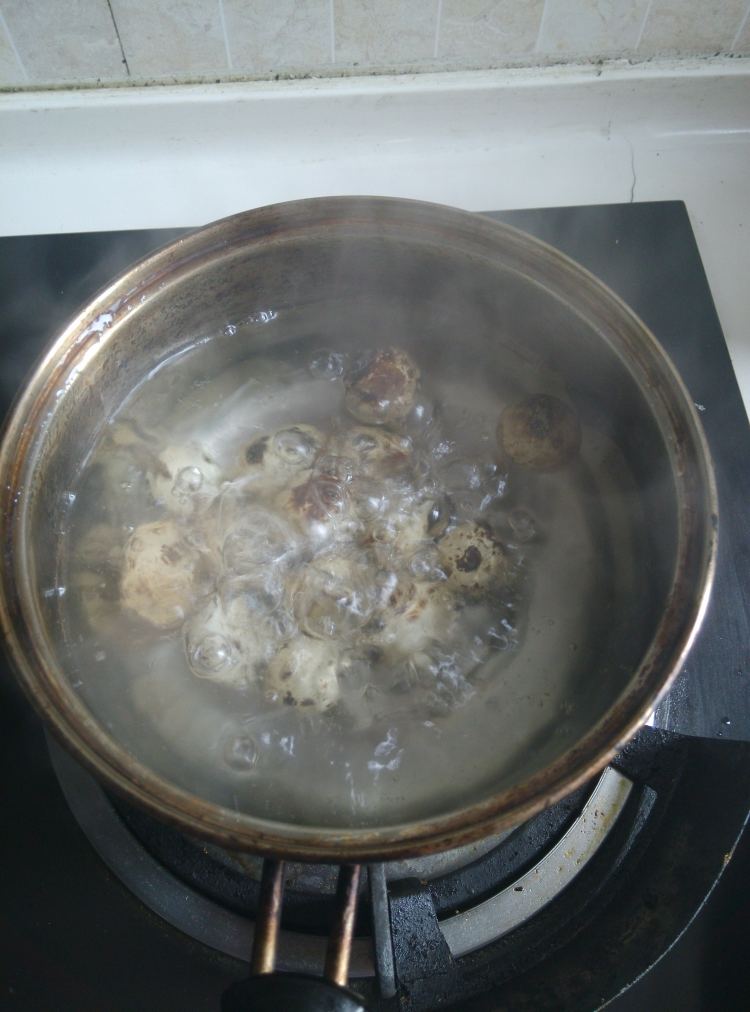 土豆鹌鹑蛋排骨煲步骤10