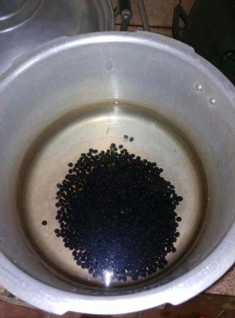 五爪毛桃黑豆汤步骤1