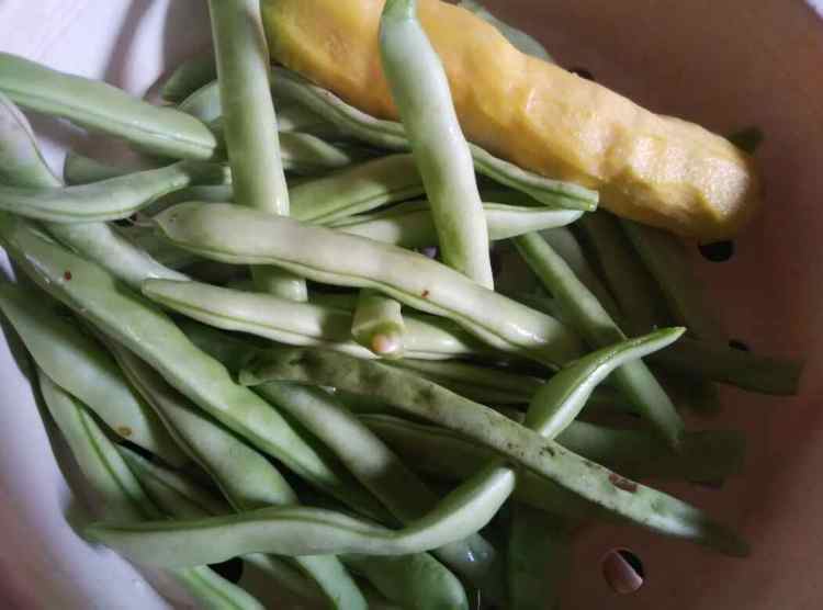 排骨焖豆角步骤2
