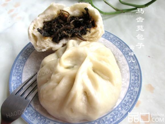 马齿苋肉包子