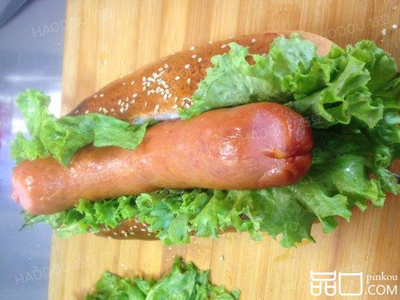 HOTDOG热狗