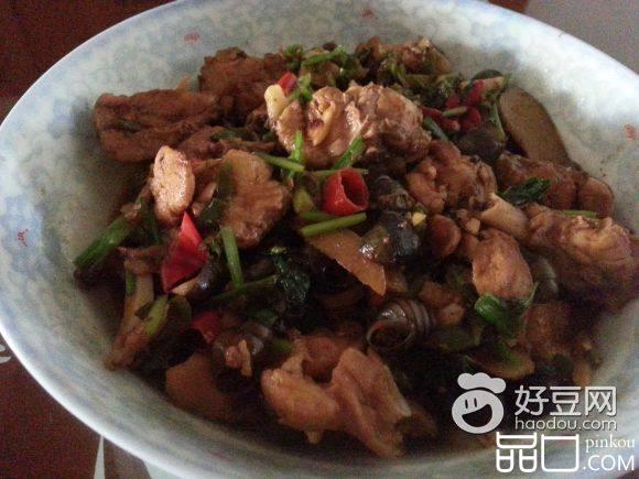 田螺煲鸡