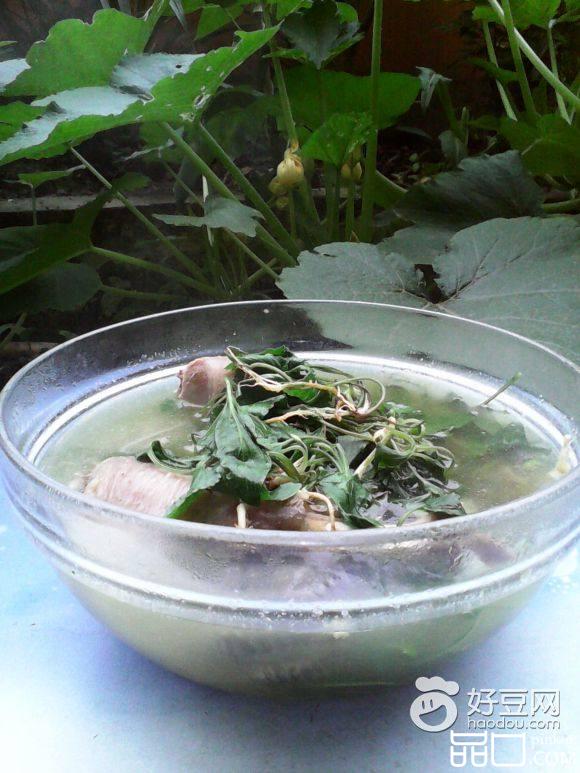 华佗草炖鸡