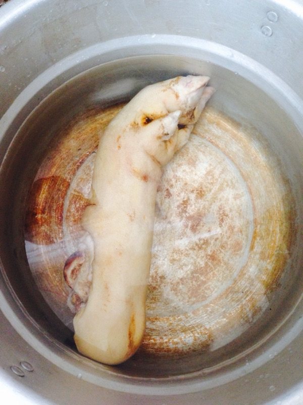 花生黄豆莲藕炖猪蹄步骤2