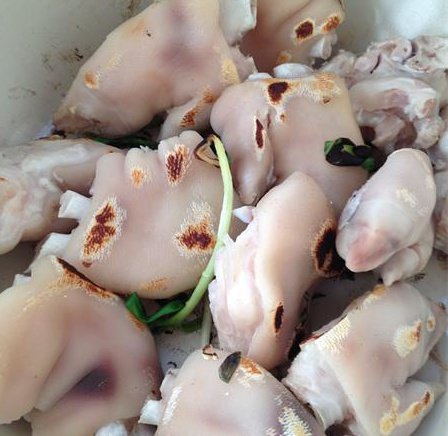 乳香花生黄豆焖猪蹄步骤9