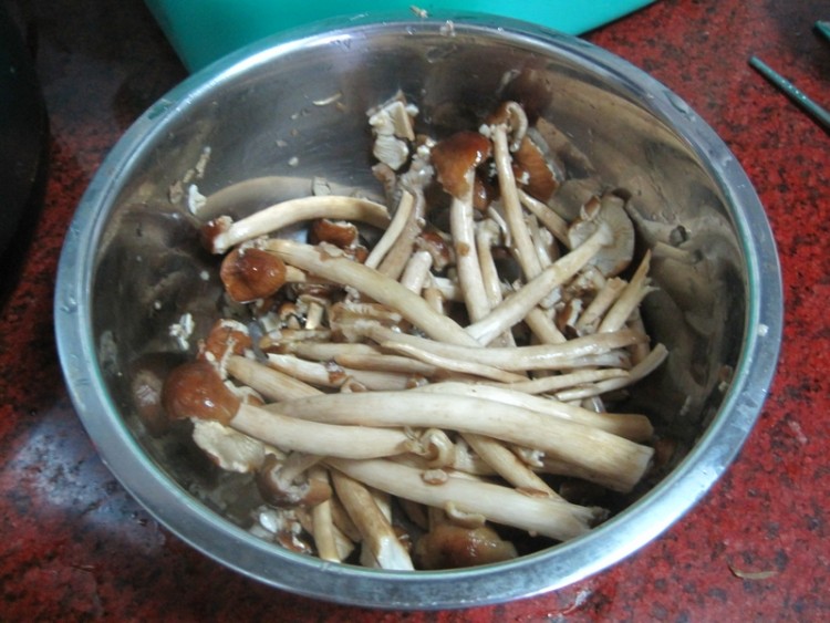 茶树菇烧猪蹄步骤1