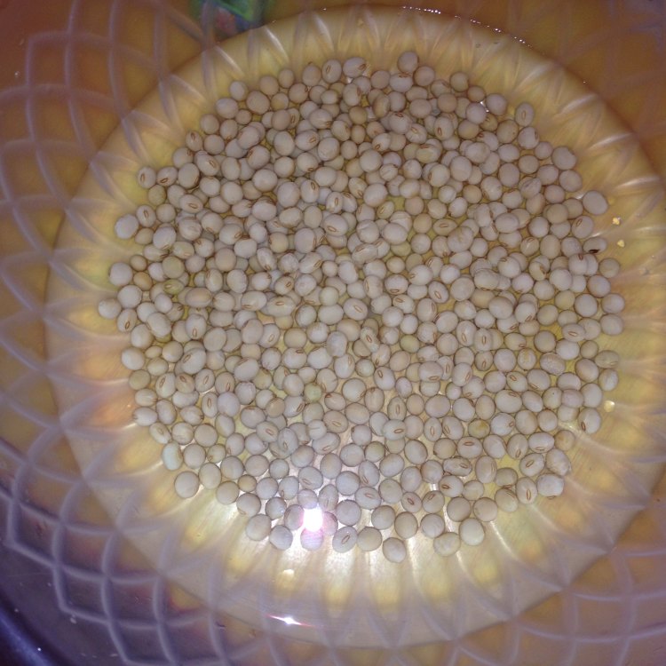黄豆炖猪脚步骤1