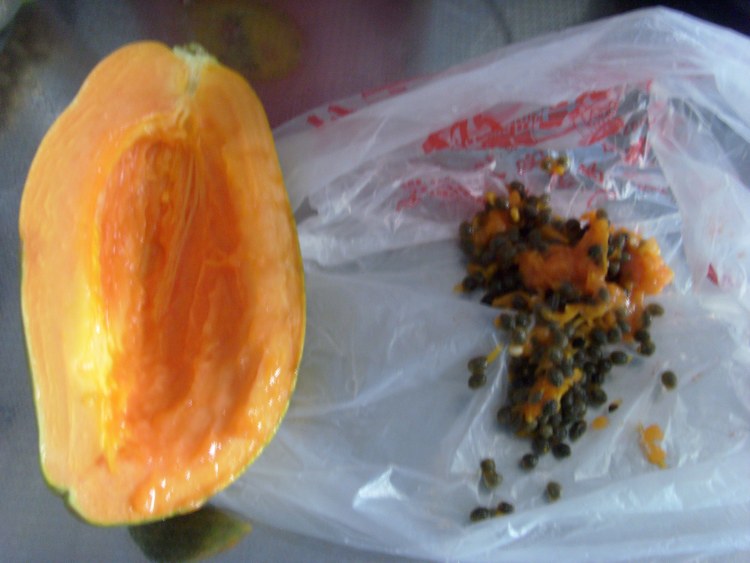 黄豆木瓜炖猪蹄步骤3