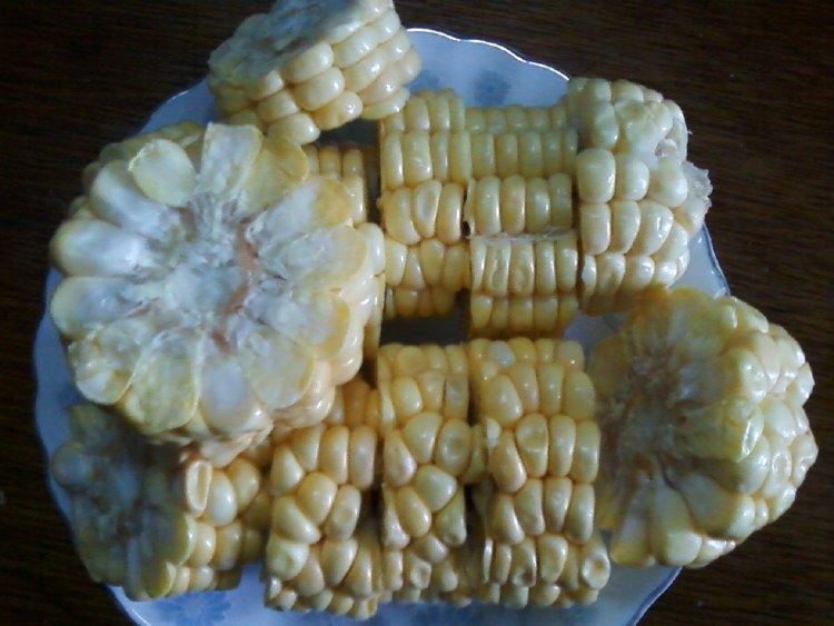黑豆玉米炖猪蹄步骤1