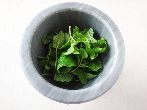 薄荷拌白肉步骤3