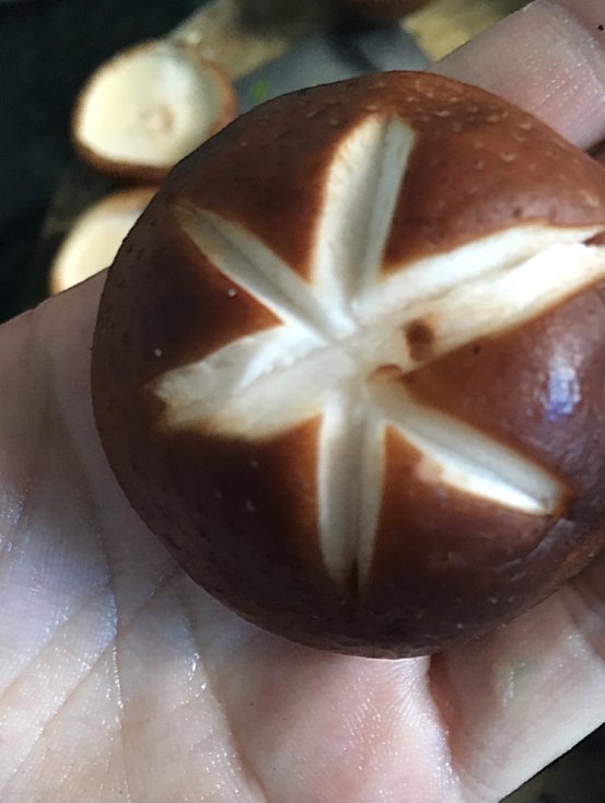 煎酿香菇步骤3