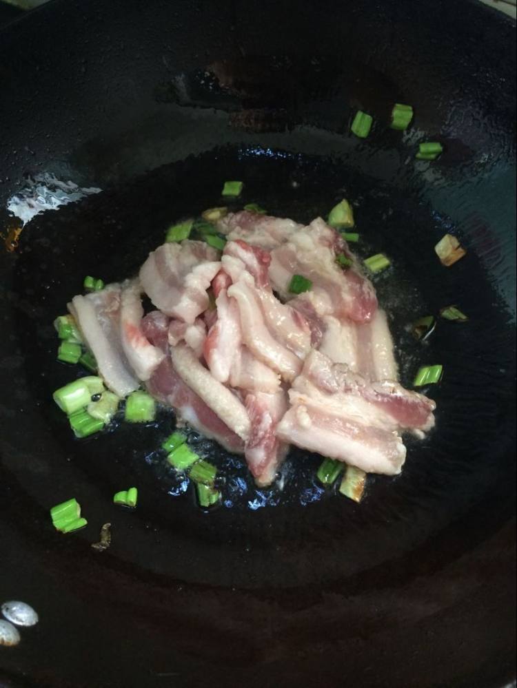 猪肉白菜炖粉条步骤4
