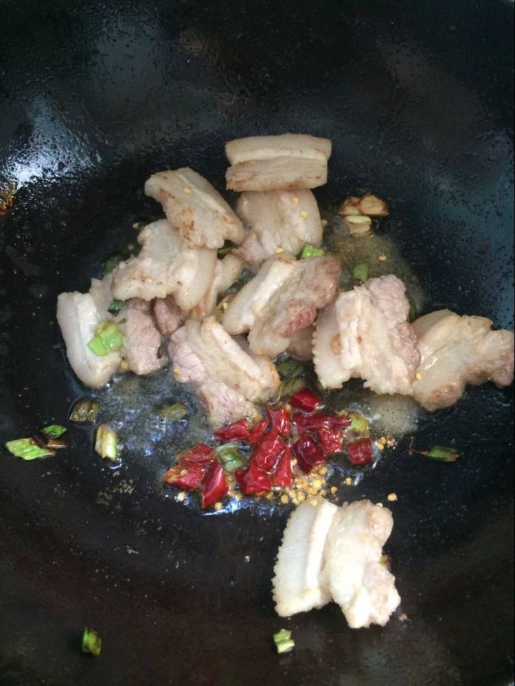 猪肉白菜炖粉条步骤5