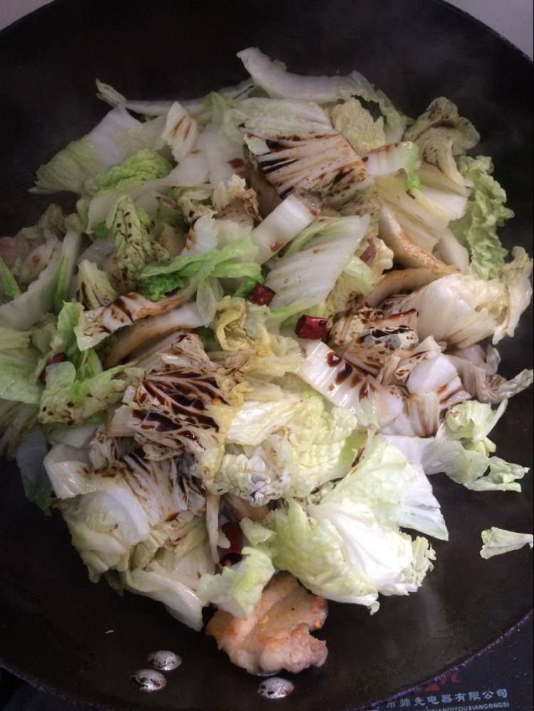 猪肉白菜炖粉条步骤7