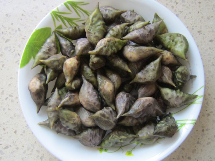 菱角烧肉步骤1