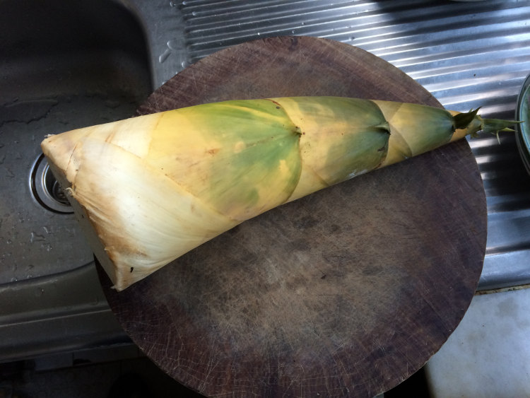 五花肉焖夏笋步骤1
