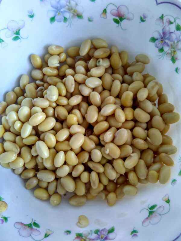 五花肉炖黄豆步骤2