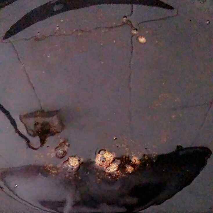 红烧肉炖土豆步骤4