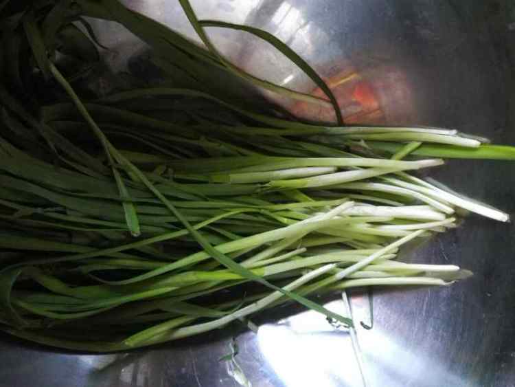 荠菜发面包子步骤2