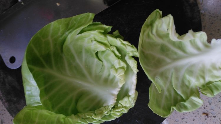 包菜卷肉步骤7