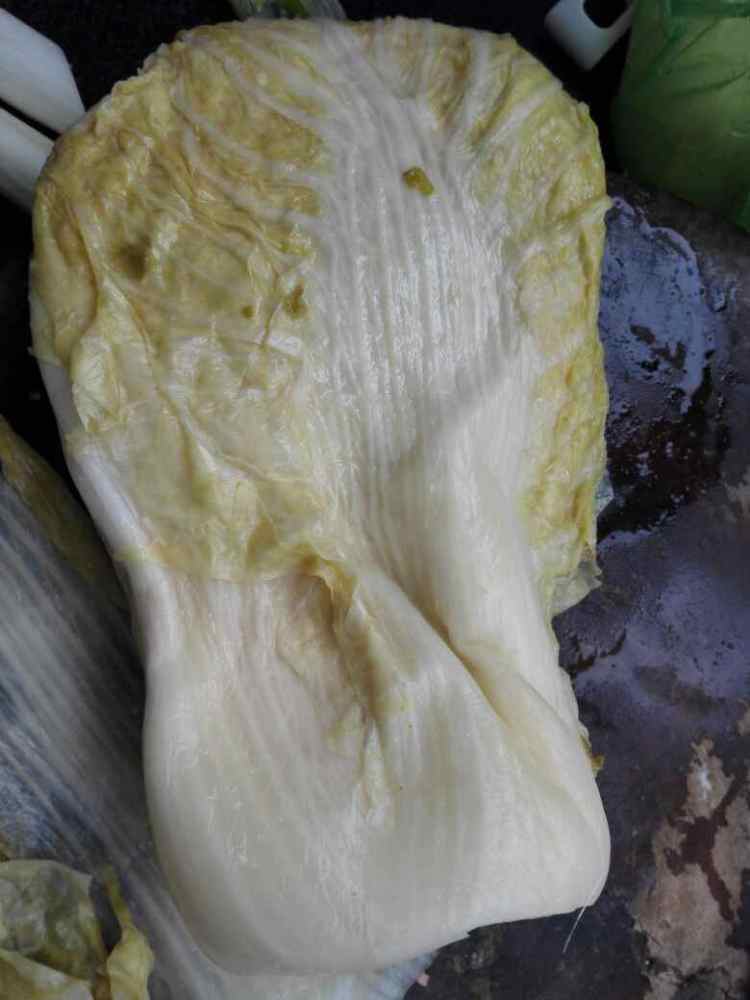 炖酸菜步骤1