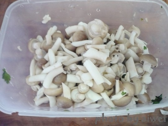 虾酱炒豆腐步骤2