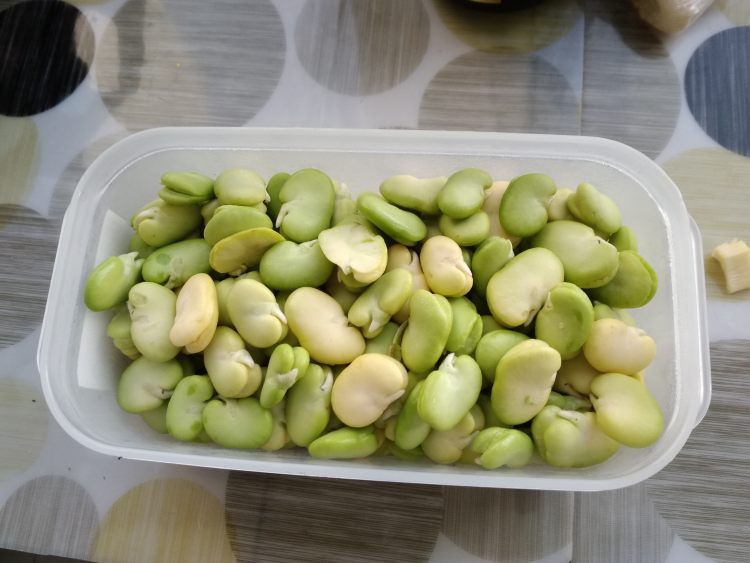 腊肉春笋炒蚕豆步骤2