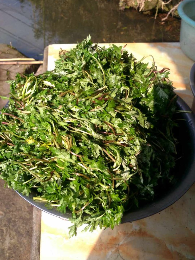 清明节必吃的美味——步骤2