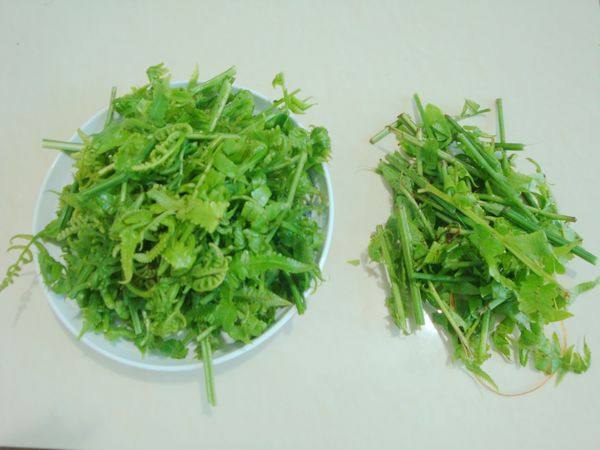 腊肉番茄煮水蕨步骤2
