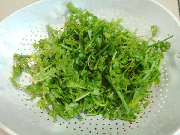 腊肉番茄煮水蕨步骤3