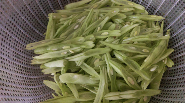 腊味四季豆步骤4