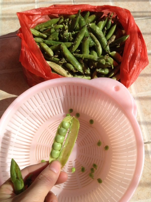 麦豆腊味焖饭步骤1