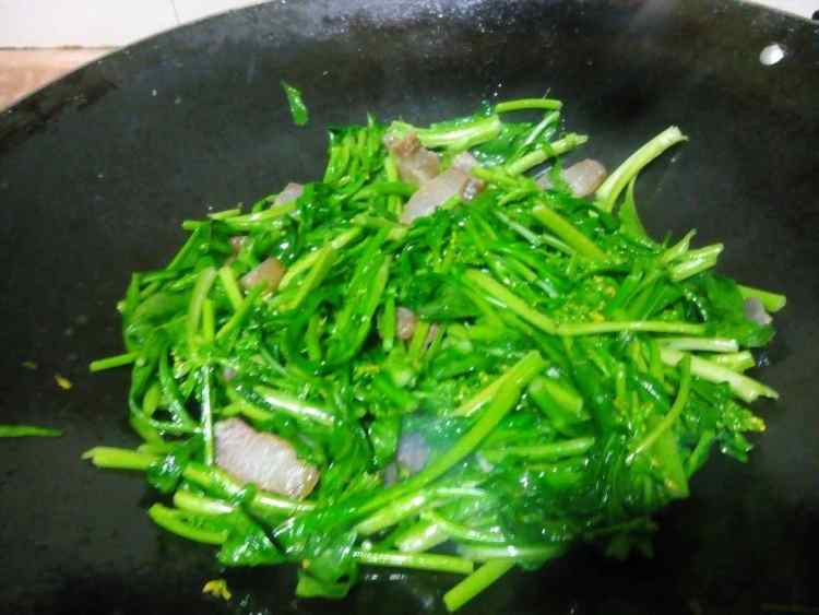 腊肉炒菜心步骤5