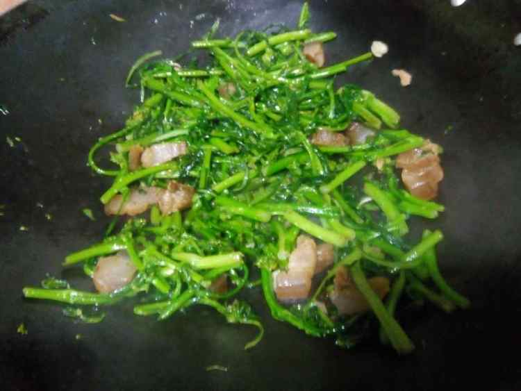 腊肉炒菜心步骤6