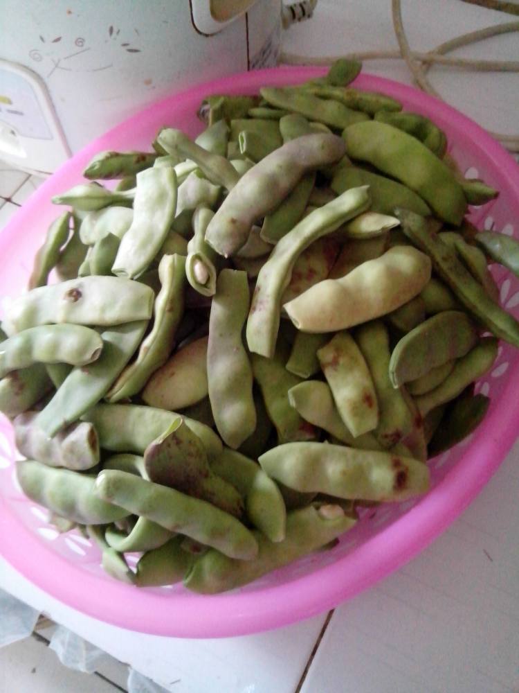 橄榄豆炒腊肉步骤1