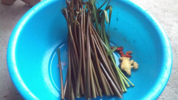 生炒蕨菜步骤1