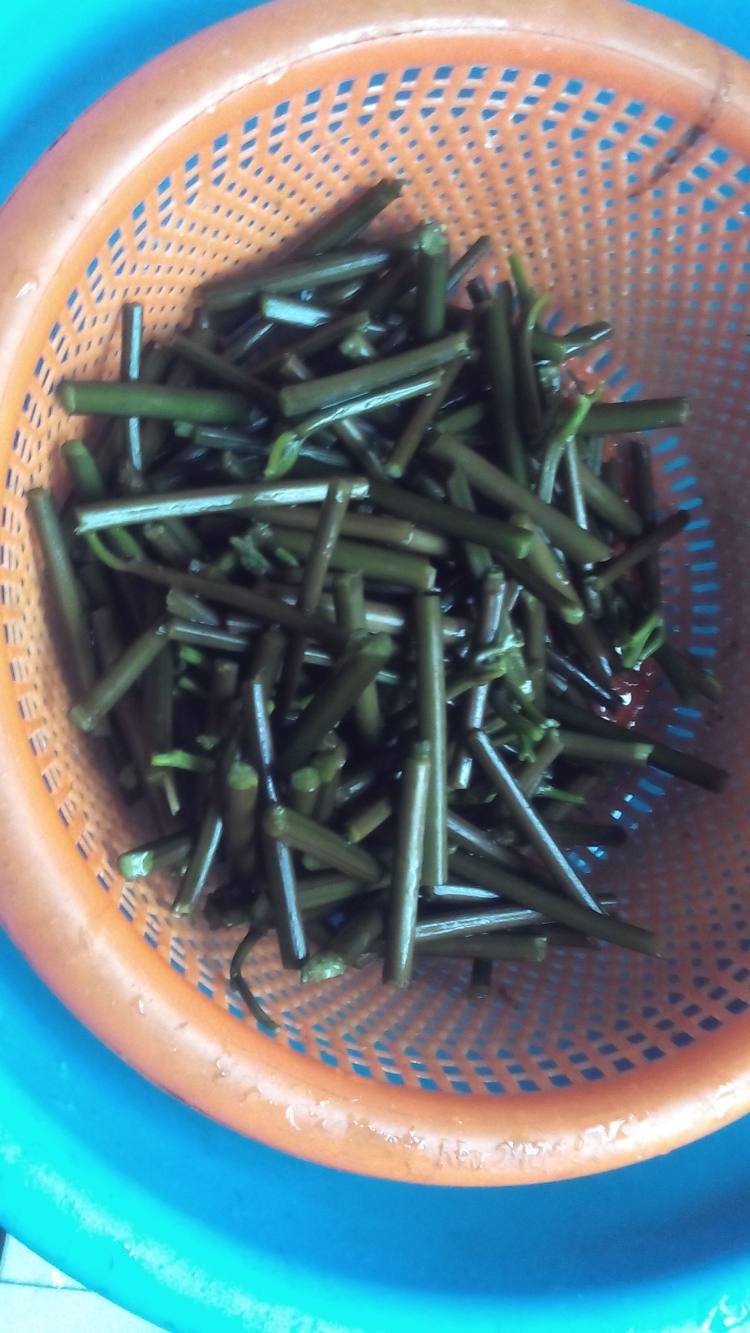 生炒蕨菜步骤3