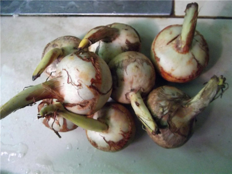 腊肉炒茨菇步骤1