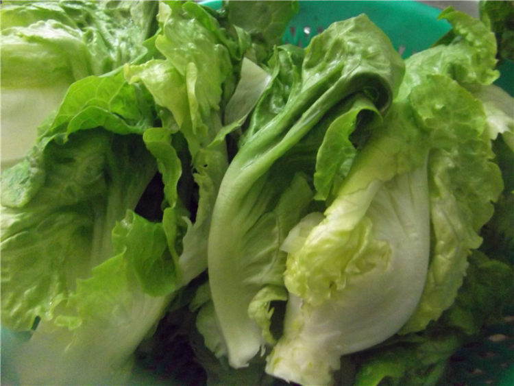 腊肉拌生菜步骤1