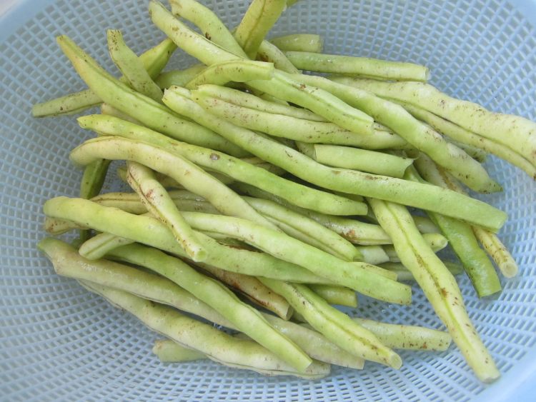 腊肉炒四季豆步骤1