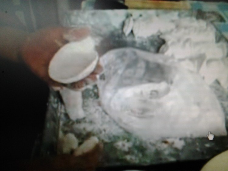 家乡白水角步骤16