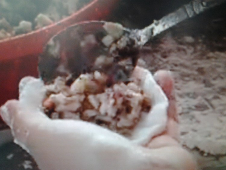 家乡白水角步骤17
