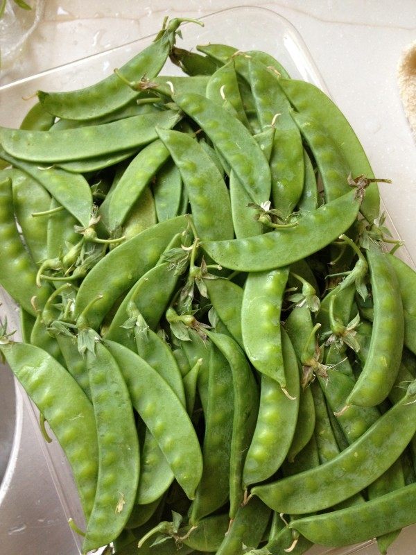 荷兰豆小炒步骤3
