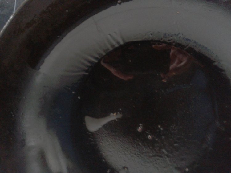 红薯梗炒腊肉步骤5