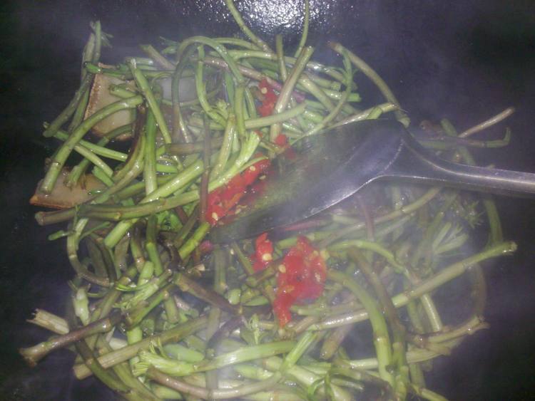 提蒿炒腊肉步骤5
