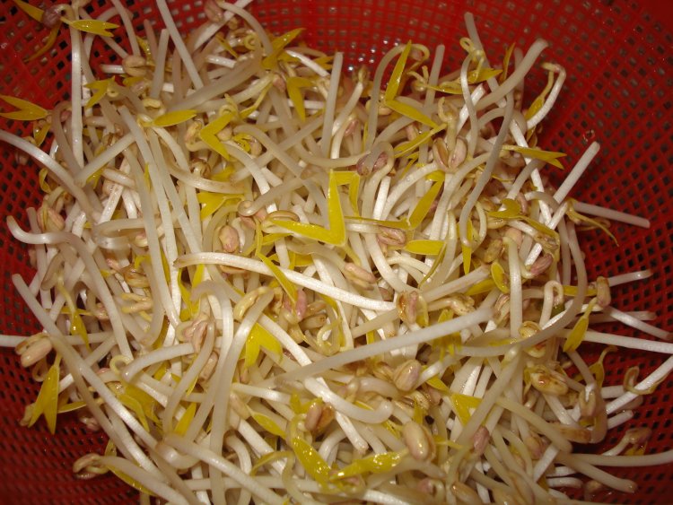 豆芽腊肉炒年糕步骤1