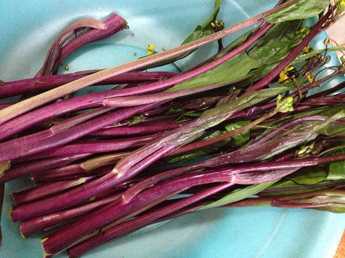 腊肉炒菜苔步骤1
